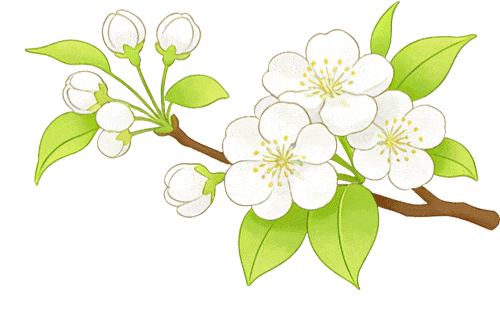 新消费｜青团飘香、露营走俏、短途游升温！清明催热福州春日经济