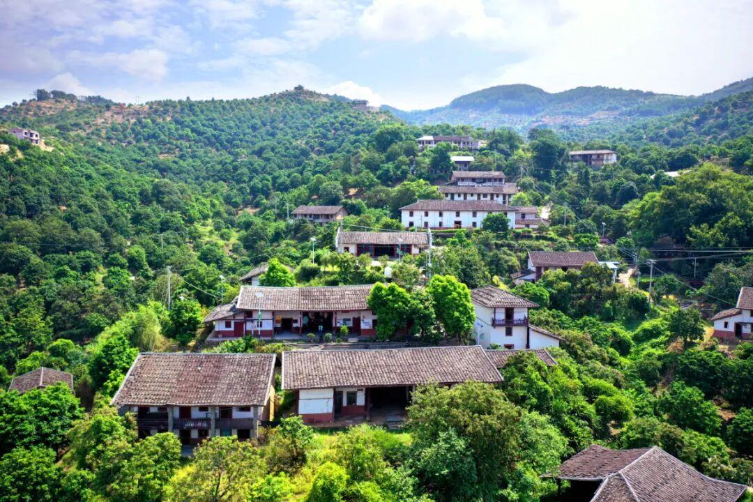 闽人智慧 | 福州小青果，何以炼就“国家严选”？