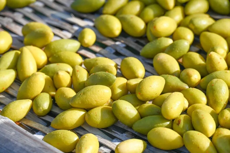 闽人智慧 | 福州小青果，何以炼就“国家严选”？