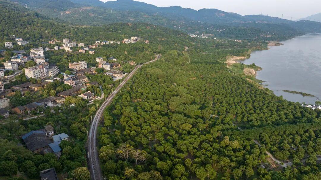 闽人智慧 | 福州小青果，何以炼就“国家严选”？