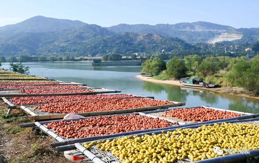 闽人智慧 | 福州小青果，何以炼就“国家严选”？