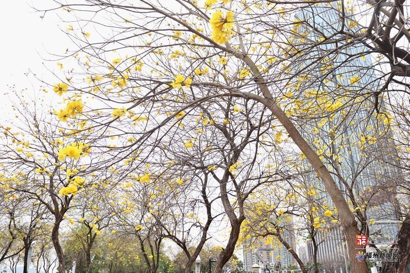 好医声丨春日踏青要当心！福州疾控提醒：这6类病高发