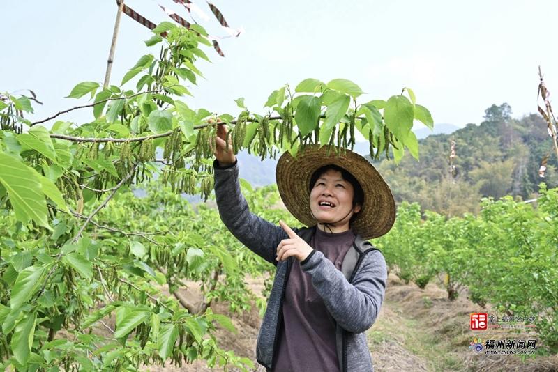 县在发生｜福州春日“丰”景大片上线！满屏都是丰收味儿