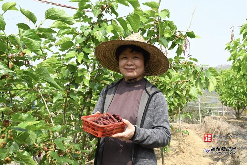 县在发生｜福州春日“丰”景大片上线！满屏都是丰收味儿