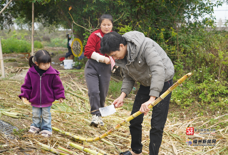 县在发生｜福州春日“丰”景大片上线！满屏都是丰收味儿