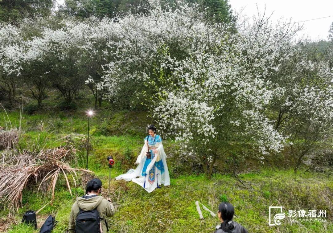 “四月雪”飘！清明福州城内外花事连连！