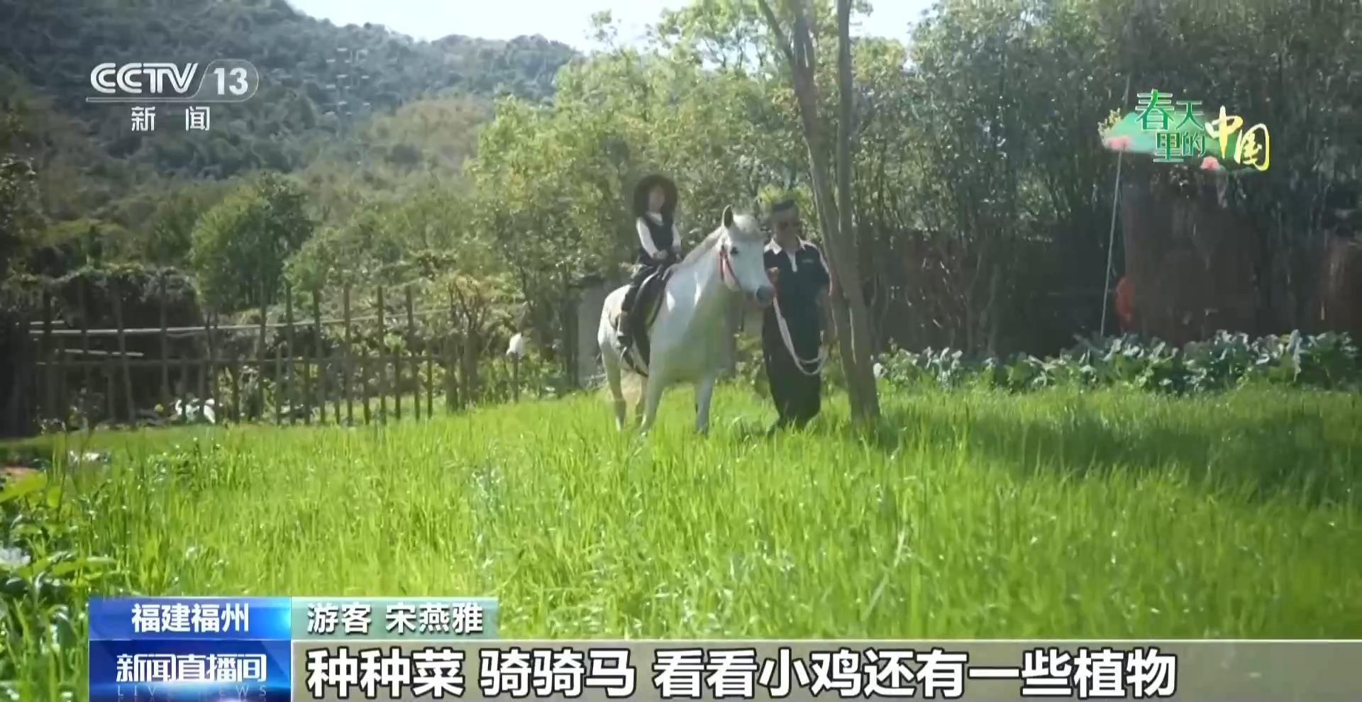 央视新闻关注福州：从种菜到研学 “共享菜园”里竟藏着这么多乐趣