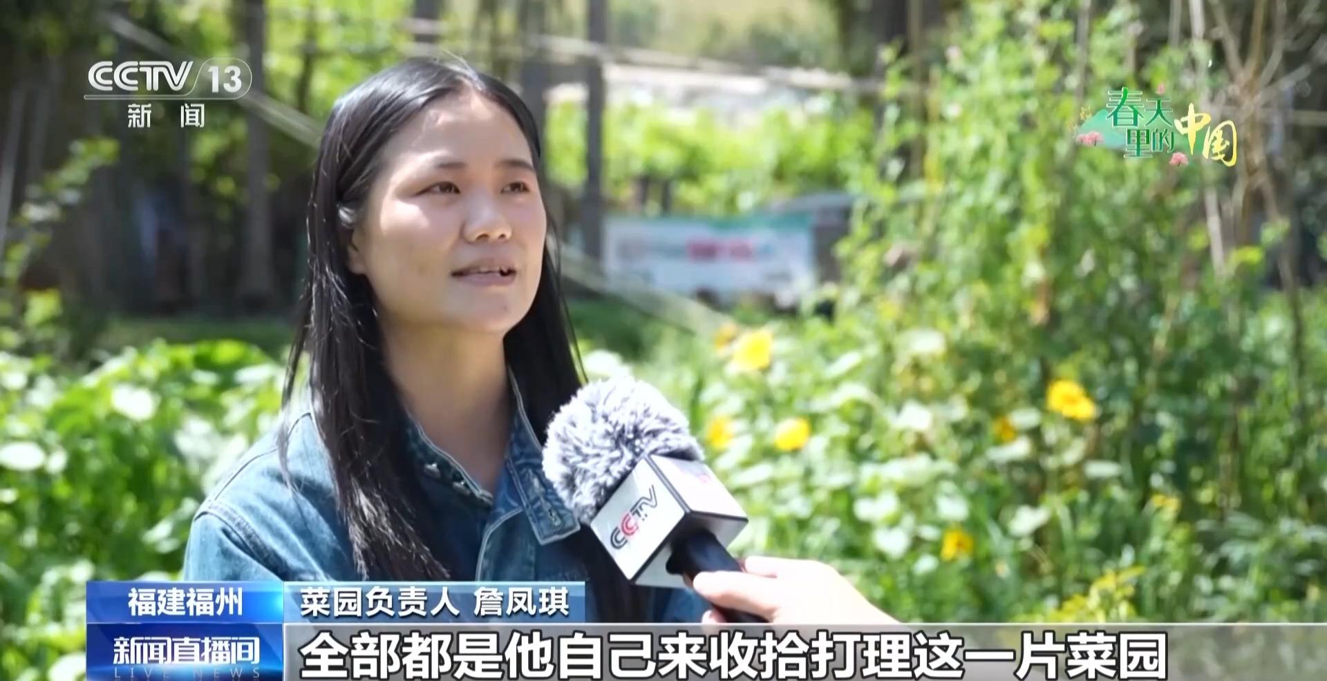 央视新闻关注福州：从种菜到研学 “共享菜园”里竟藏着这么多乐趣