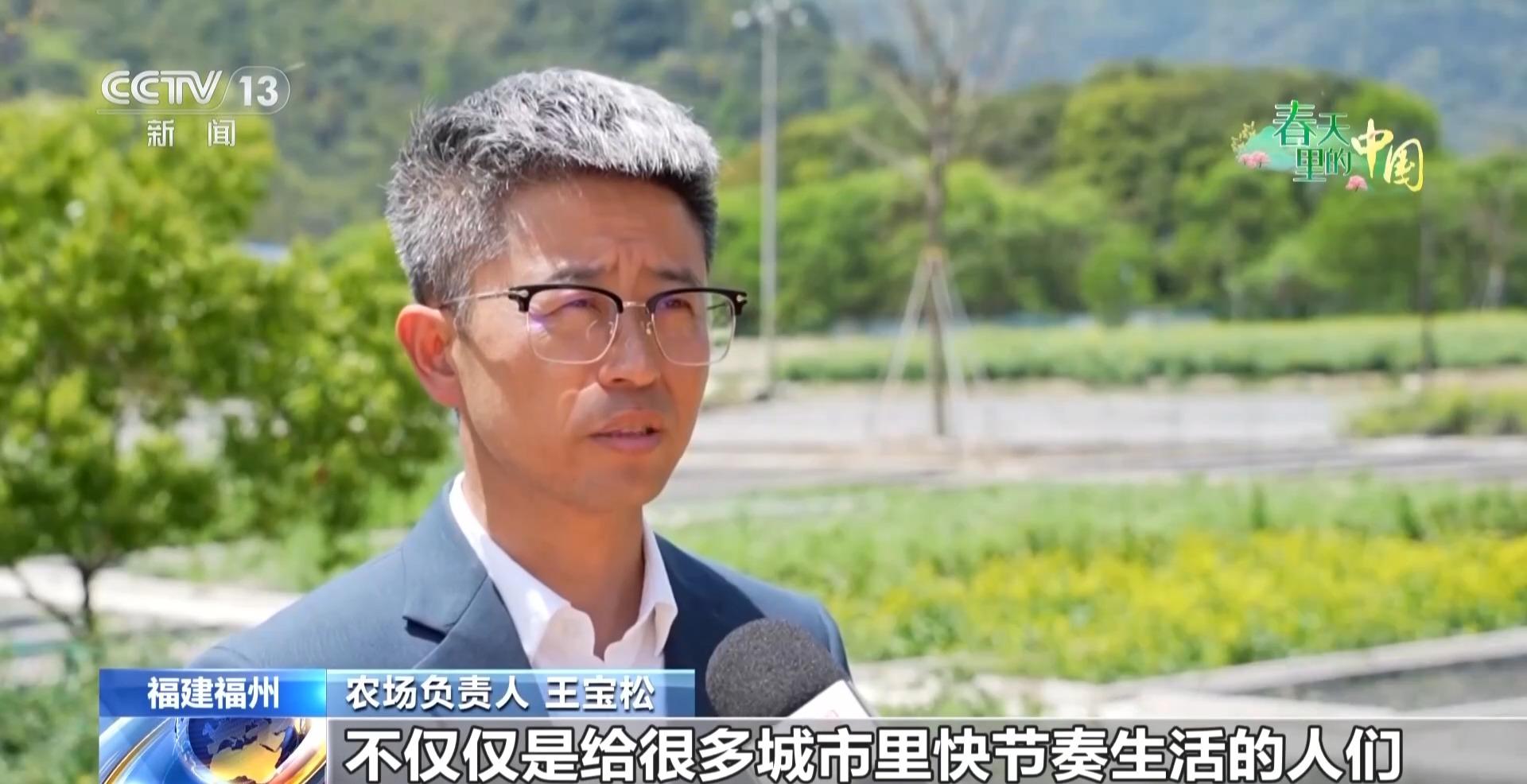 央视新闻关注福州：从种菜到研学 “共享菜园”里竟藏着这么多乐趣