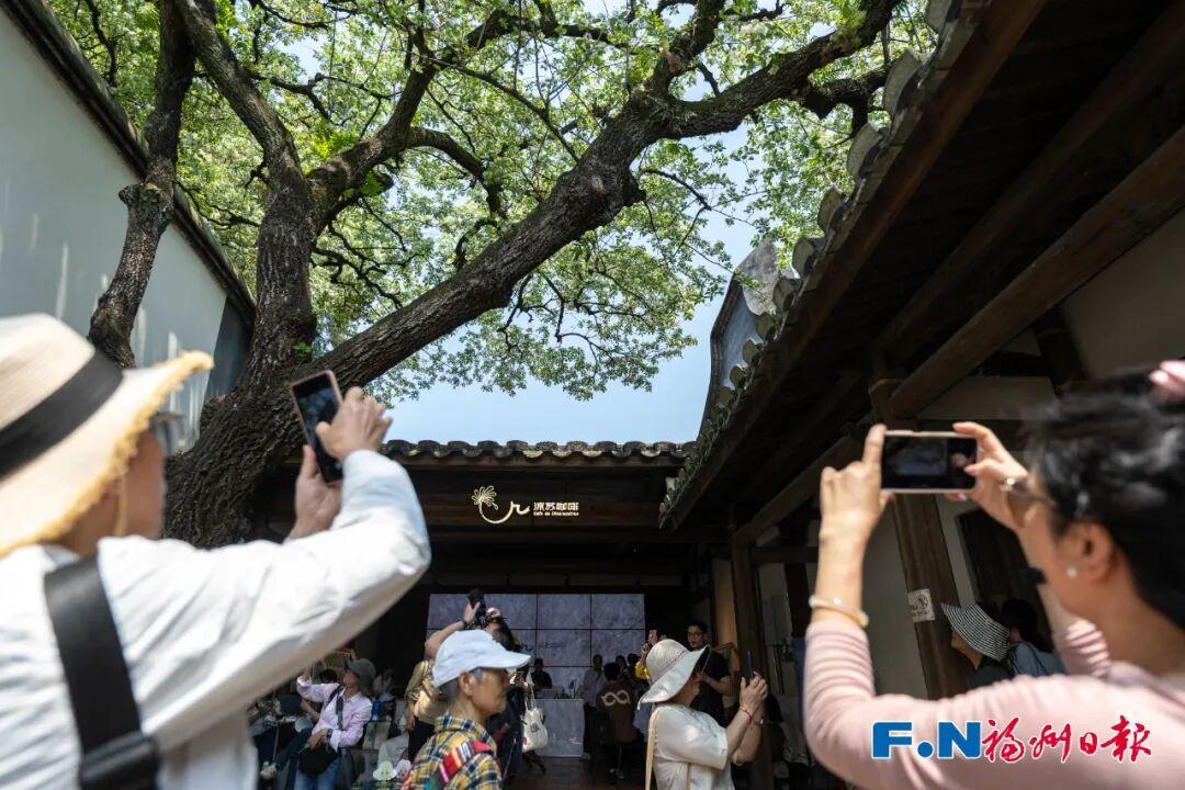 今天，就在福州三坊七巷！一场“花事”重磅启幕！