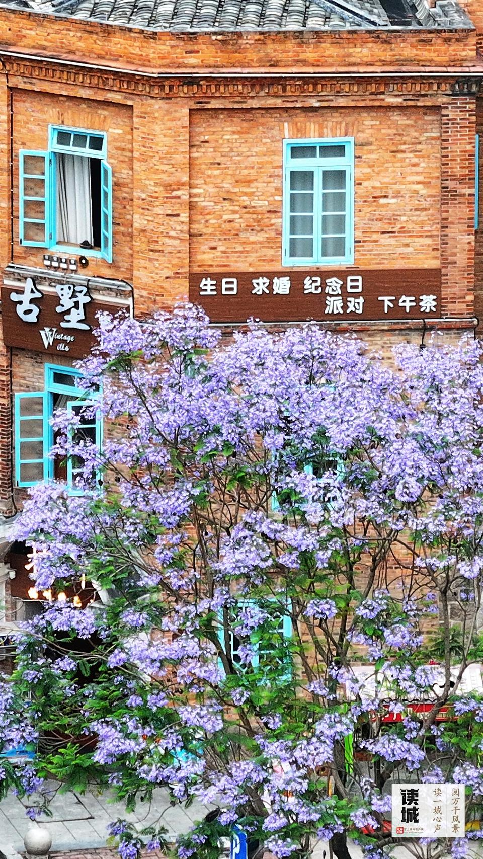 读城｜漫步坊巷 品福州古厝四季美学