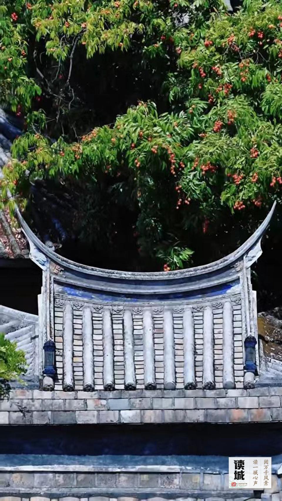 读城｜漫步坊巷 品福州古厝四季美学