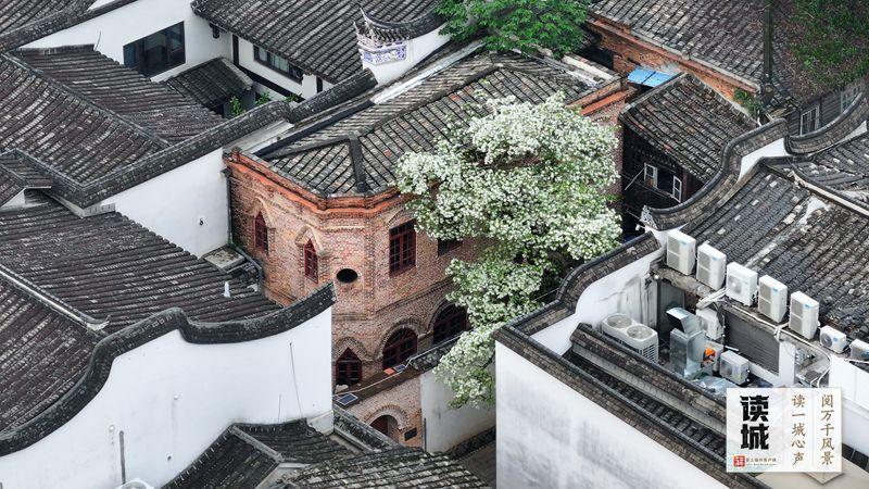 读城｜漫步坊巷 品福州古厝四季美学