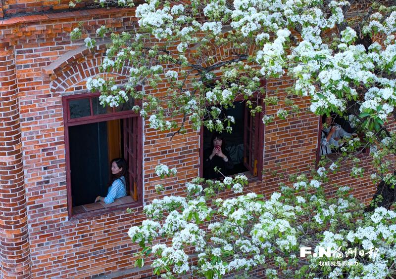 福州衣锦坊“流苏王”盛放