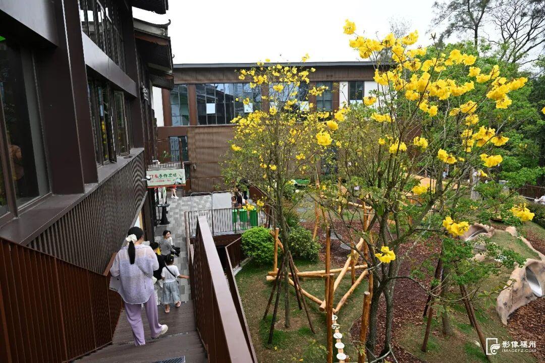 太萌啦！福州“国宝天团”怎么过春天？