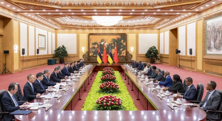 习近平同莫桑比克总统查波会谈