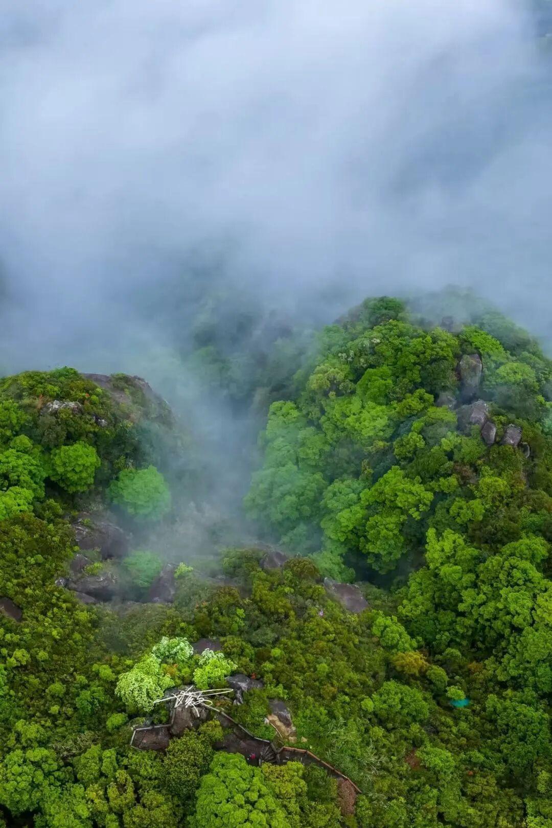 烟雨鼓岭，美到我不想安利给别人！