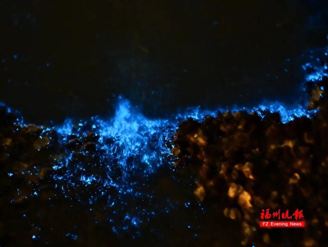 超梦幻!福州蓝眼泪爆发,今晚还有! 超梦幻!福州蓝眼泪爆发,今晚还有!