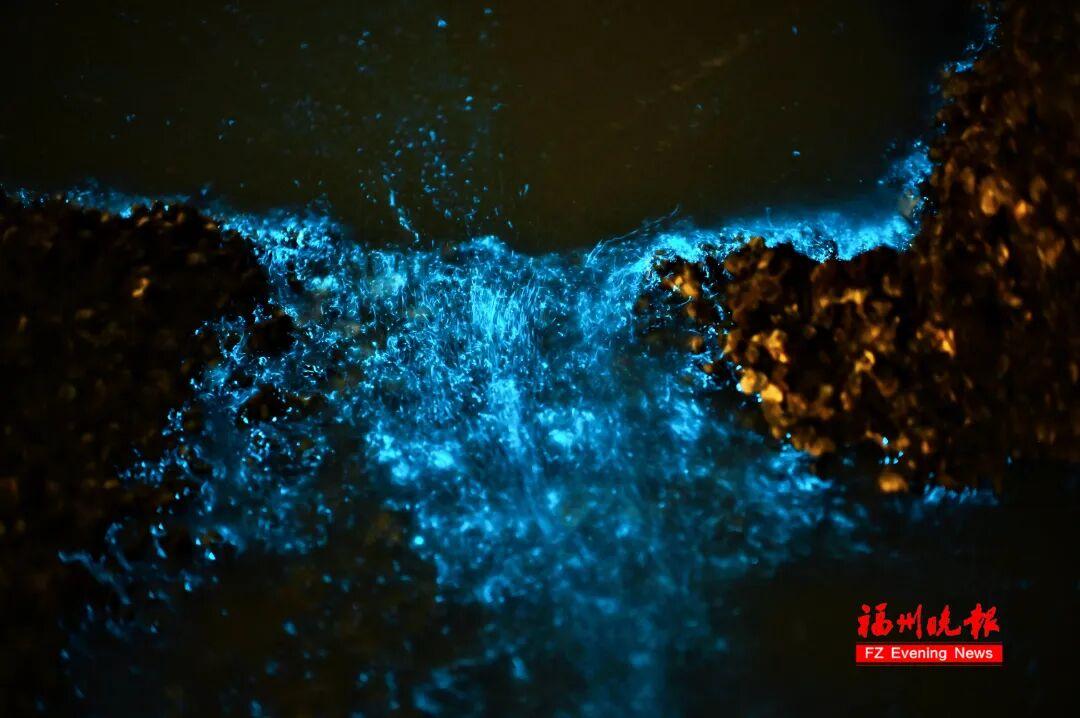 超梦幻!福州蓝眼泪爆发,今晚还有! 超梦幻!福州蓝眼泪爆发,今晚还有!