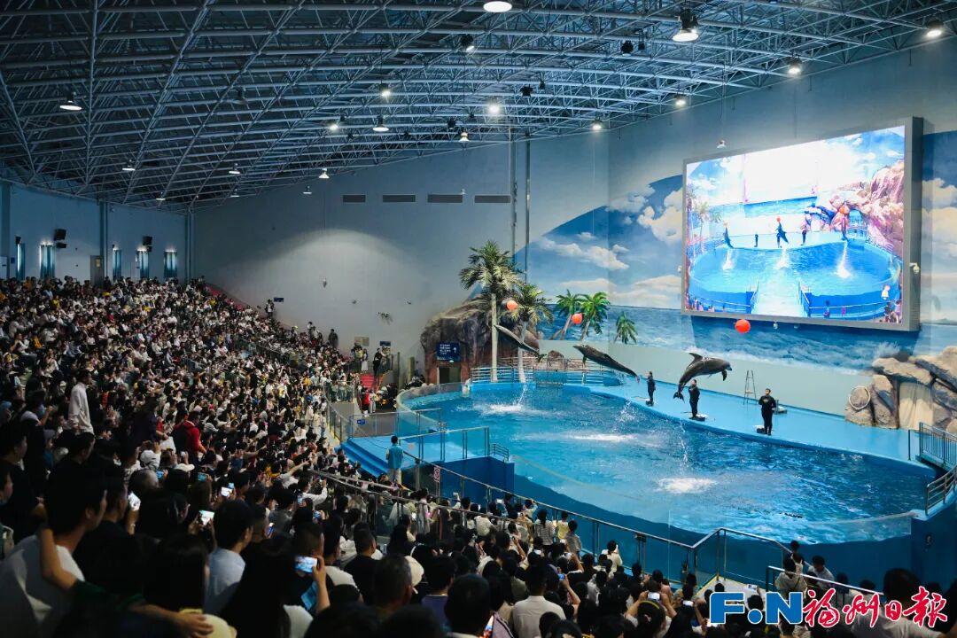 开门红!“五一”假期首日,福州文旅火力全开! 开门红!“五一”假期首日,福州文旅火力全开!