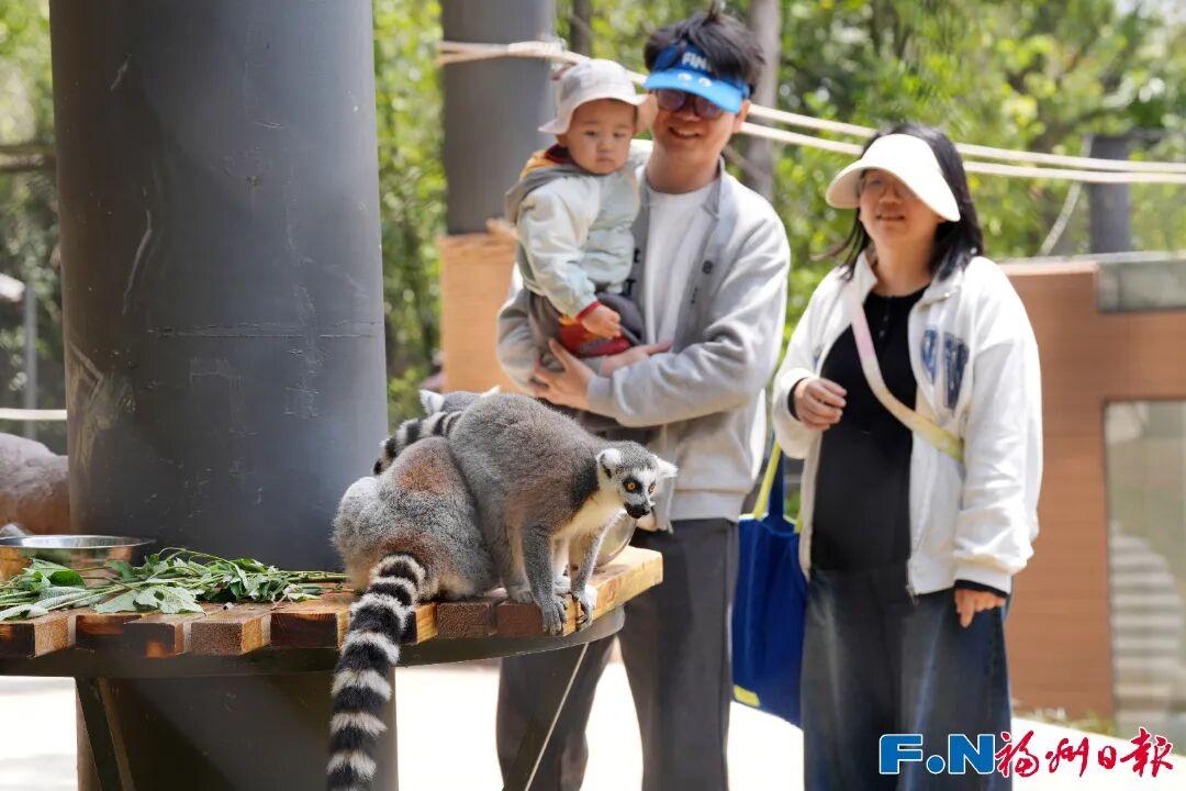 开门红！“五一”假期首日，福州文旅火力全开！