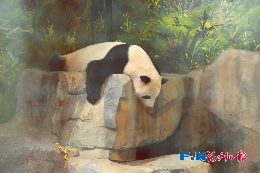 “五一”假期第3天，福州文旅消费新场景火出圈！