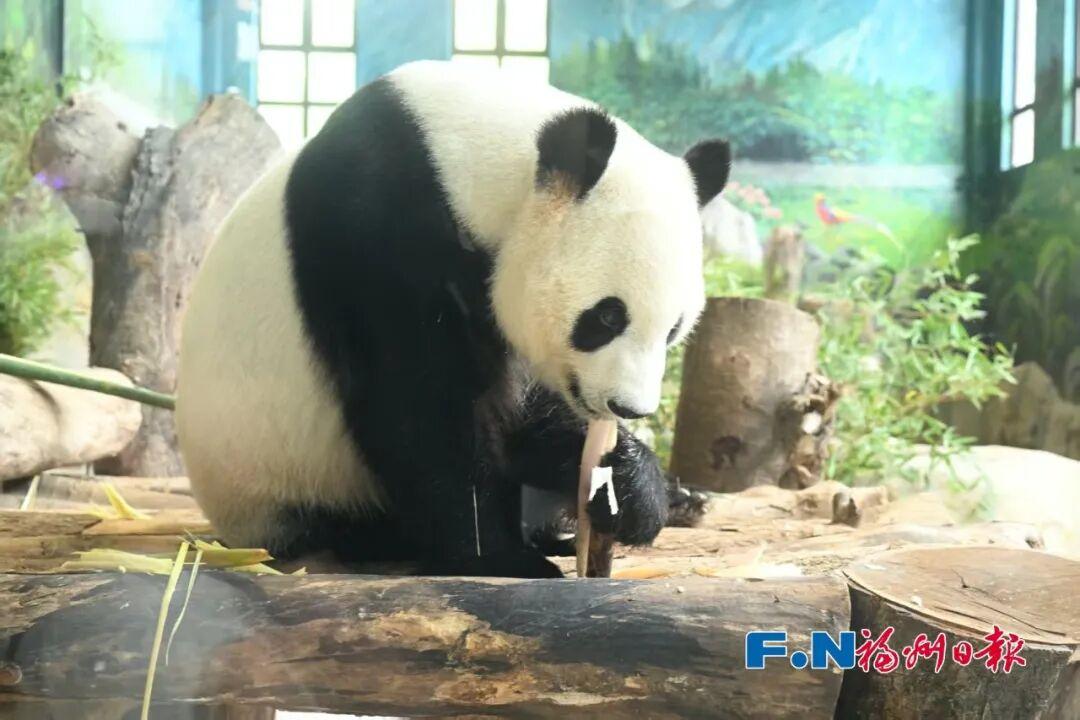 “五一”假期第3天，福州文旅消费新场景火出圈！