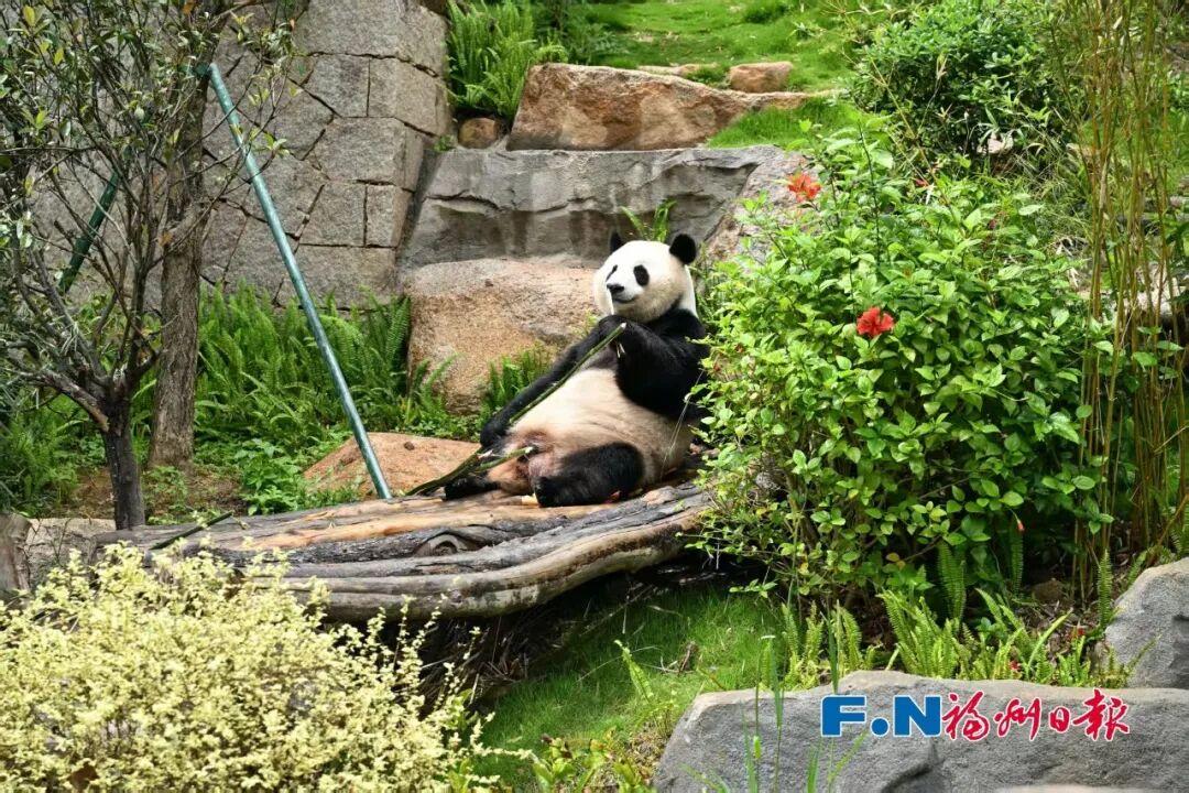 “五一”假期第3天，福州文旅消费新场景火出圈！