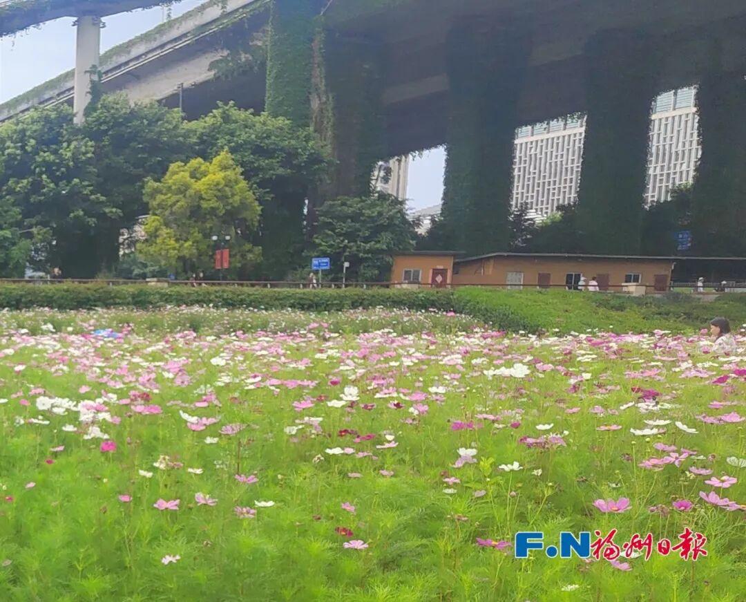 “五一”假期第3天，福州文旅消费新场景火出圈！