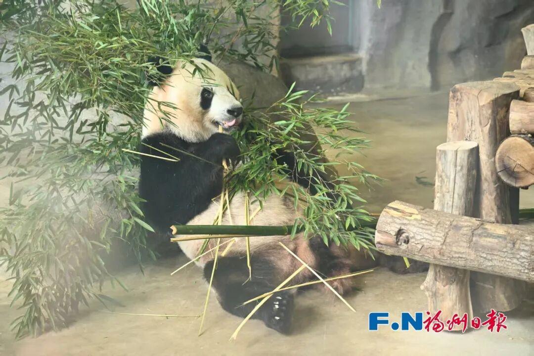 “五一”假期第3天，福州文旅消费新场景火出圈！