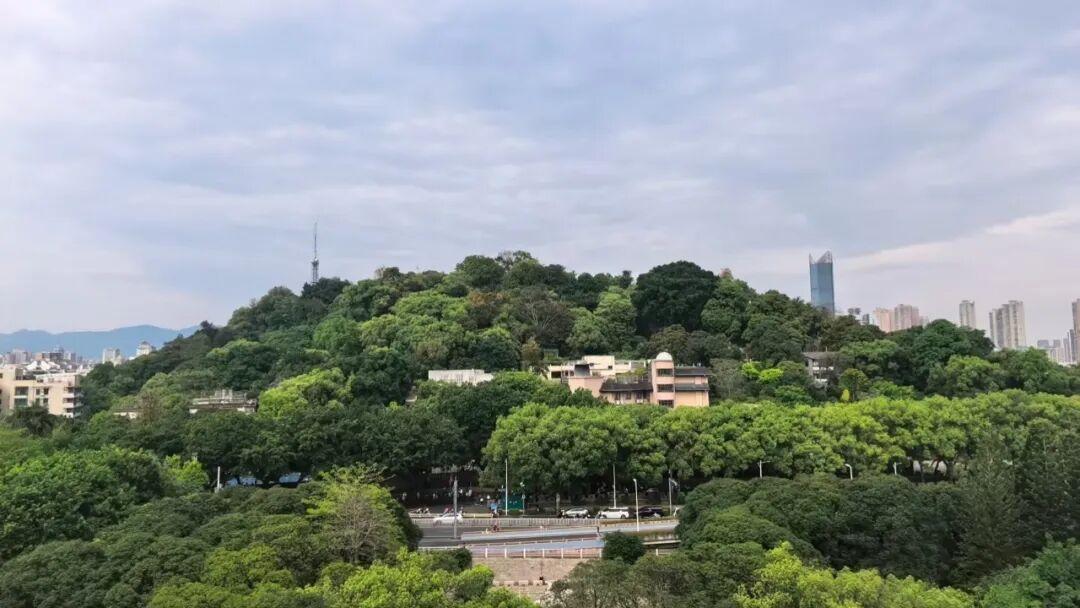 大反转！大雨、暴雨即将抵达福州