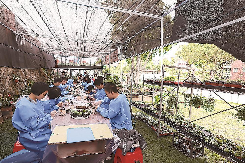 从薄弱到优质：一所乡镇中学的蝶变之路