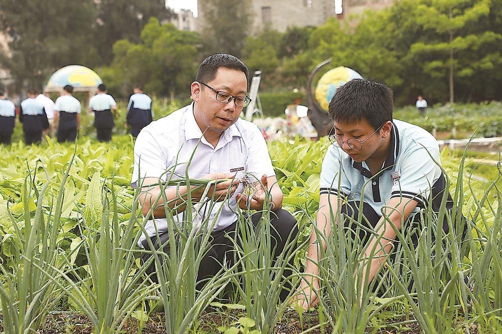 从薄弱到优质：一所乡镇中学的蝶变之路