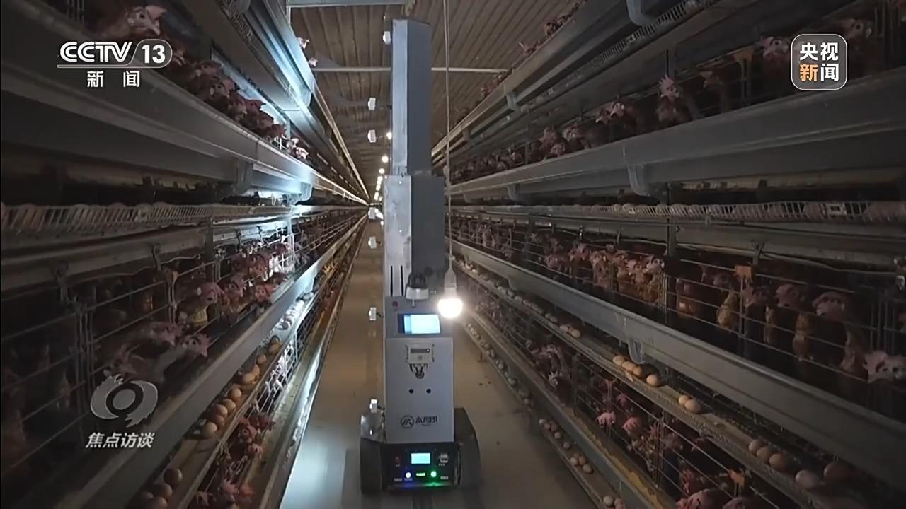 焦点访谈丨从“可选项”到“必选项” 数字技术深度融合 赋能千行百业