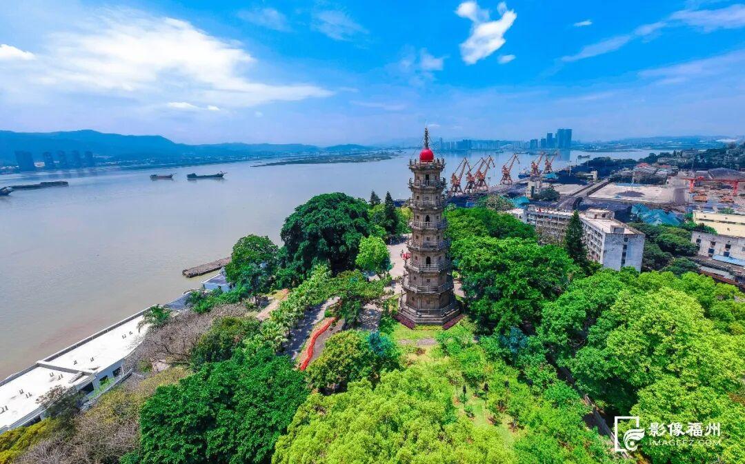 福州“树张力”拉满！快来“比个心”！
