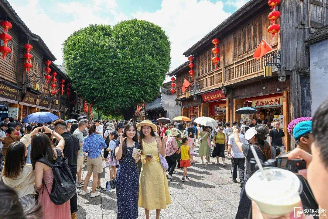 福州“树张力”拉满！快来“比个心”！