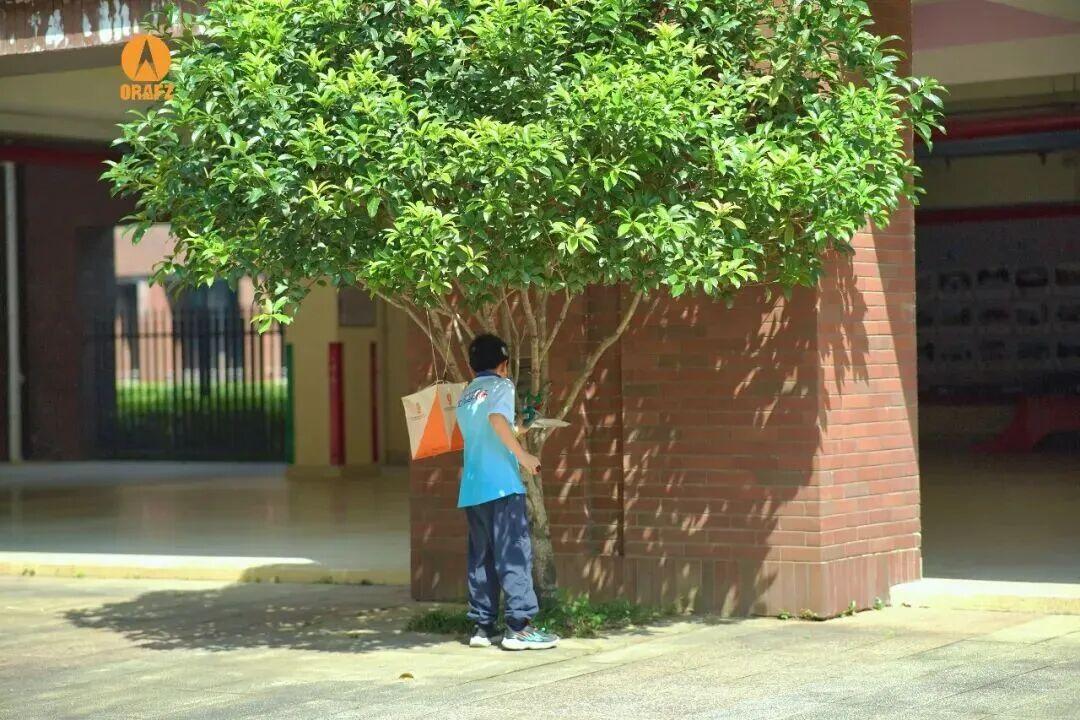 地图 + 奔跑 = 快乐翻倍！晋安区中小学定向赛圆满收官
