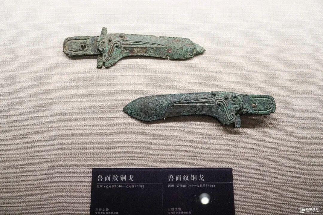 “国之重器”亮相福州！快来打卡新展