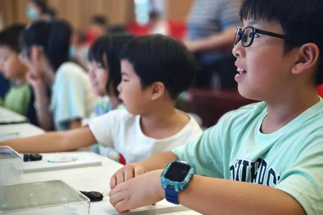 “虫趣横生·探秘自然”——仓山区以科普实践赋能公共文化服务高质量发展