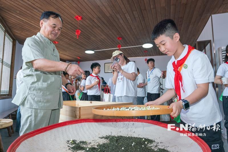 福州茉莉花茶产业集群晋级“国家队”底气何来？
