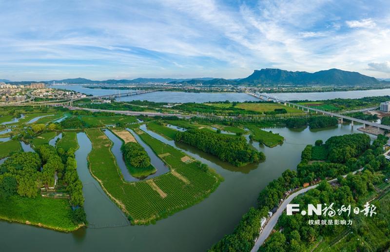 福州茉莉花茶产业集群晋级“国家队”底气何来？