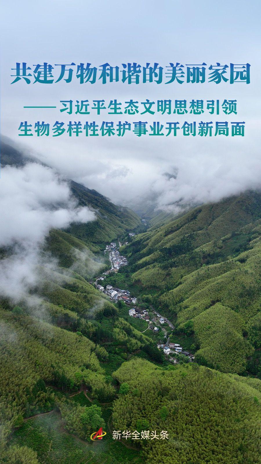 习近平生态文明思想引领生物多样性保护事业开创新局面