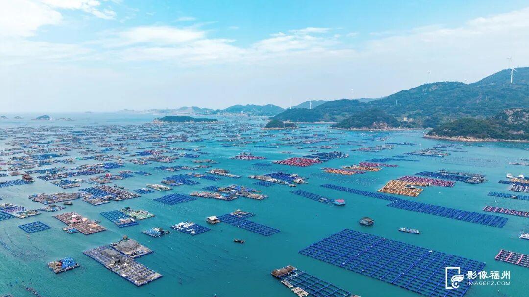 夏日鲜味大量上市！福州人有口福了
