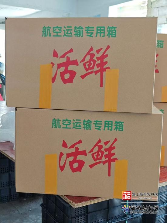 县在发生｜2000万粒海胆苗“北上避暑”！连江靠“候鸟计划”五年逆袭