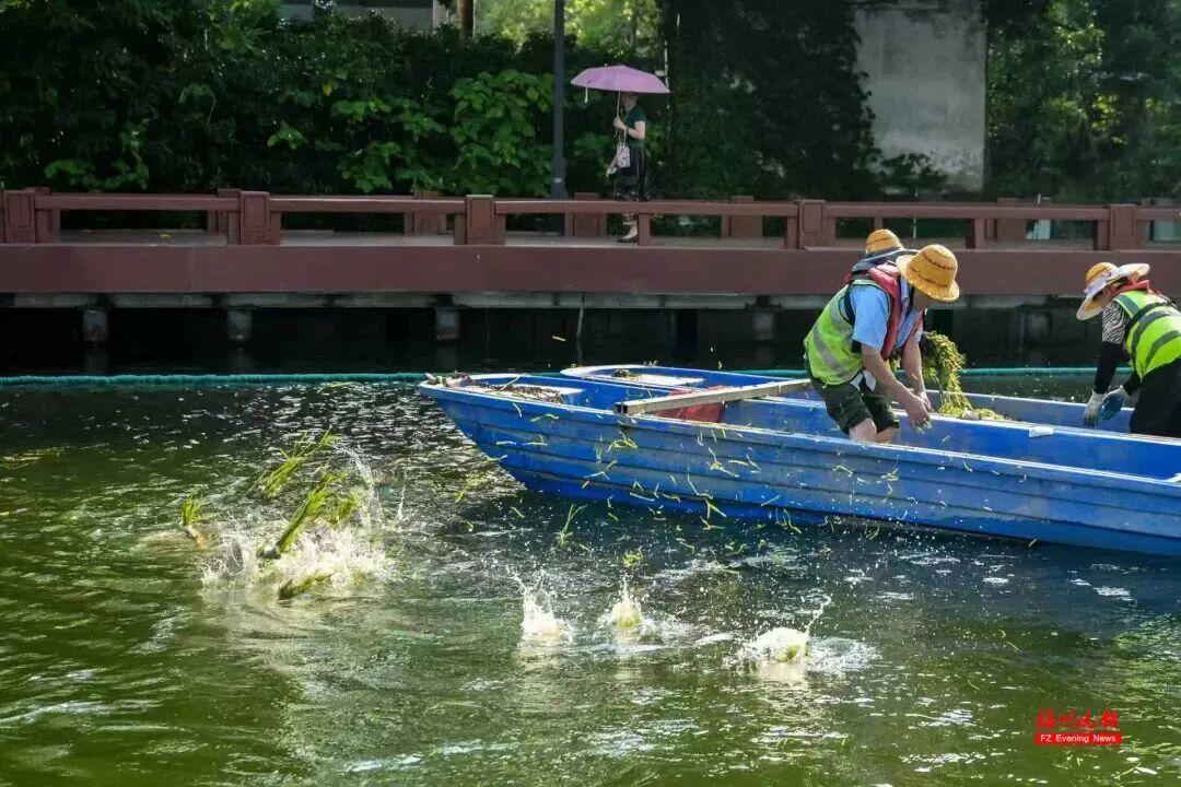 1700多岁的福州西湖，将迎来一片水下“生态社区”