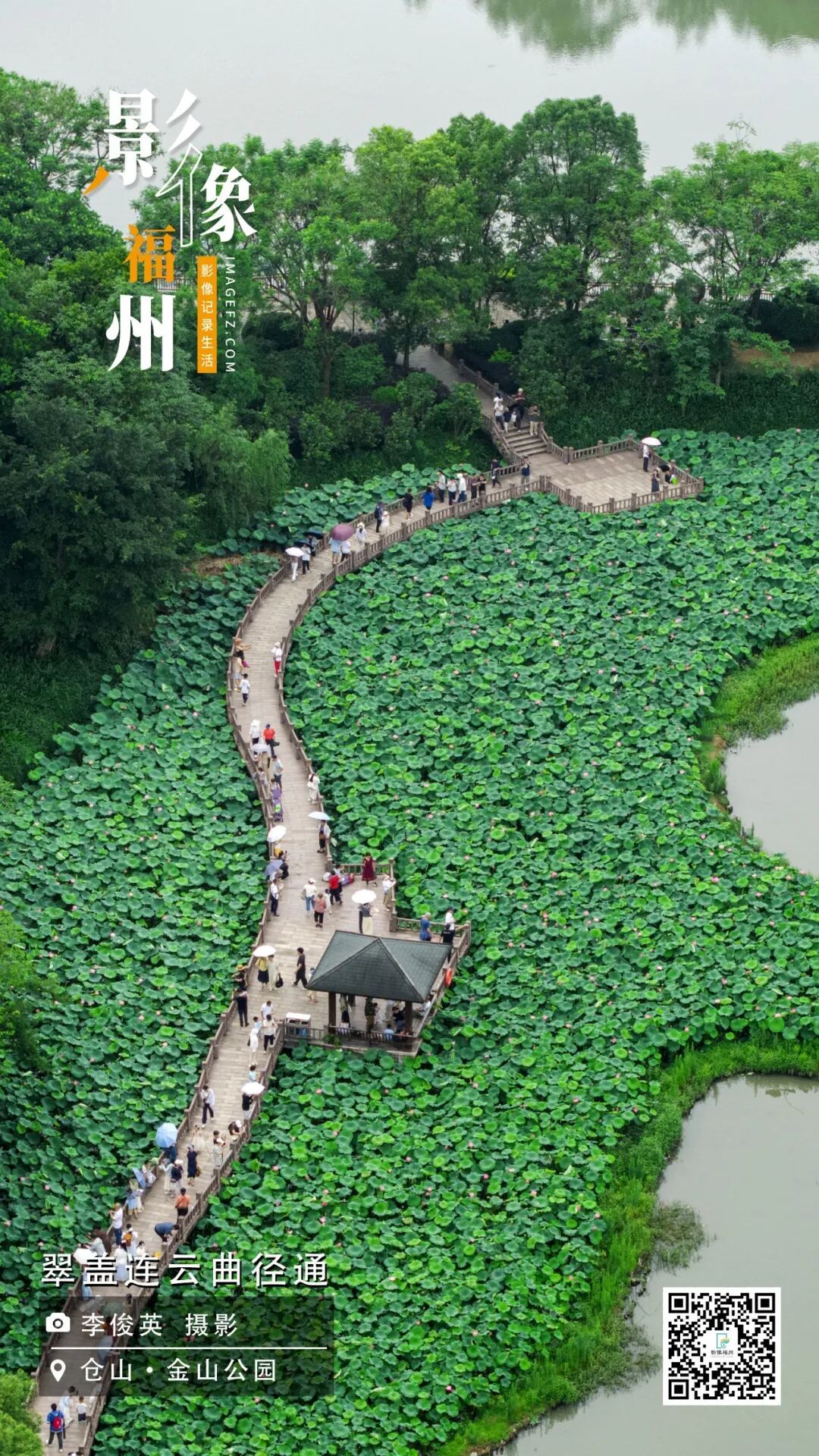 影像福州丨翠盖连云曲径通