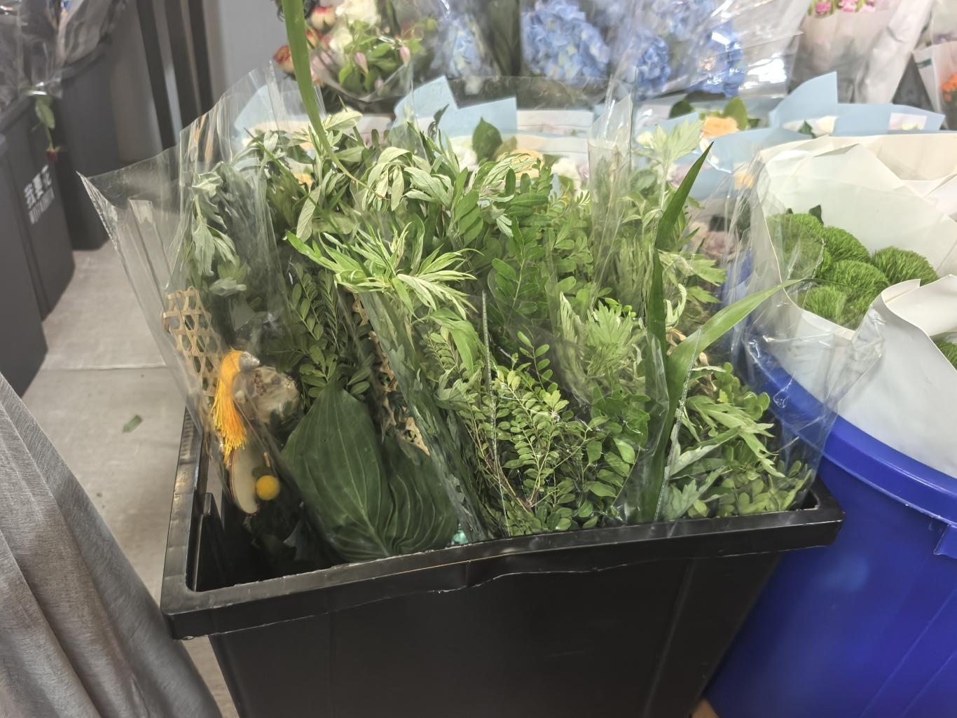 新消费｜艾草变身“国风潮品”！福州端午“仪式感消费”火了