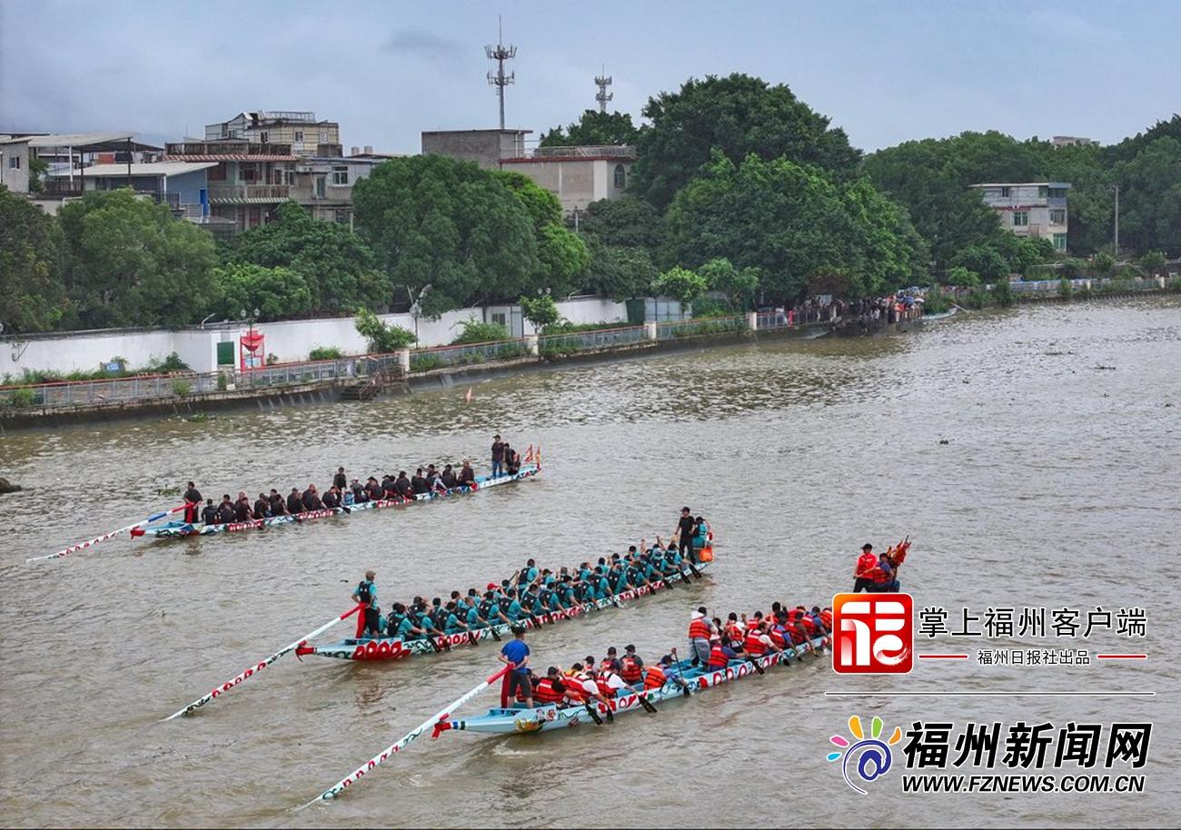 县在发生|螺洲“龙舟会”热闹开桨 县在发生|螺洲“龙舟会”热闹开桨