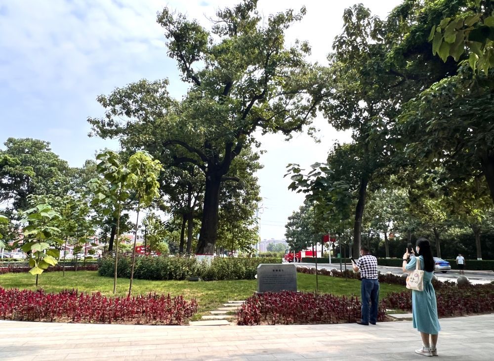 习近平党建思想引领强党强国新征程