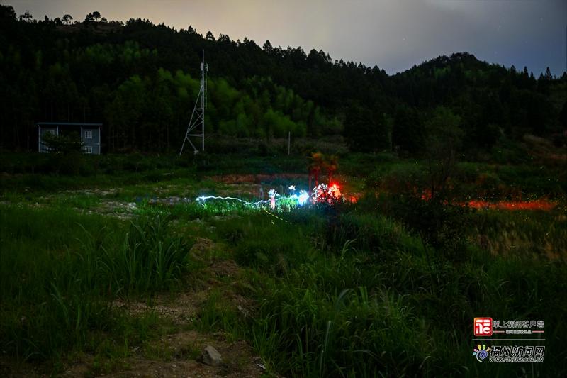 闽侯大湖雪峰夏夜流萤飞舞 迎来最佳观赏期